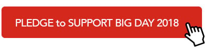 Pledge-to-Support-Big-Day-2018-411x104